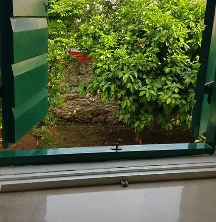 Apartament Rustica *